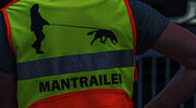 Mantrailing